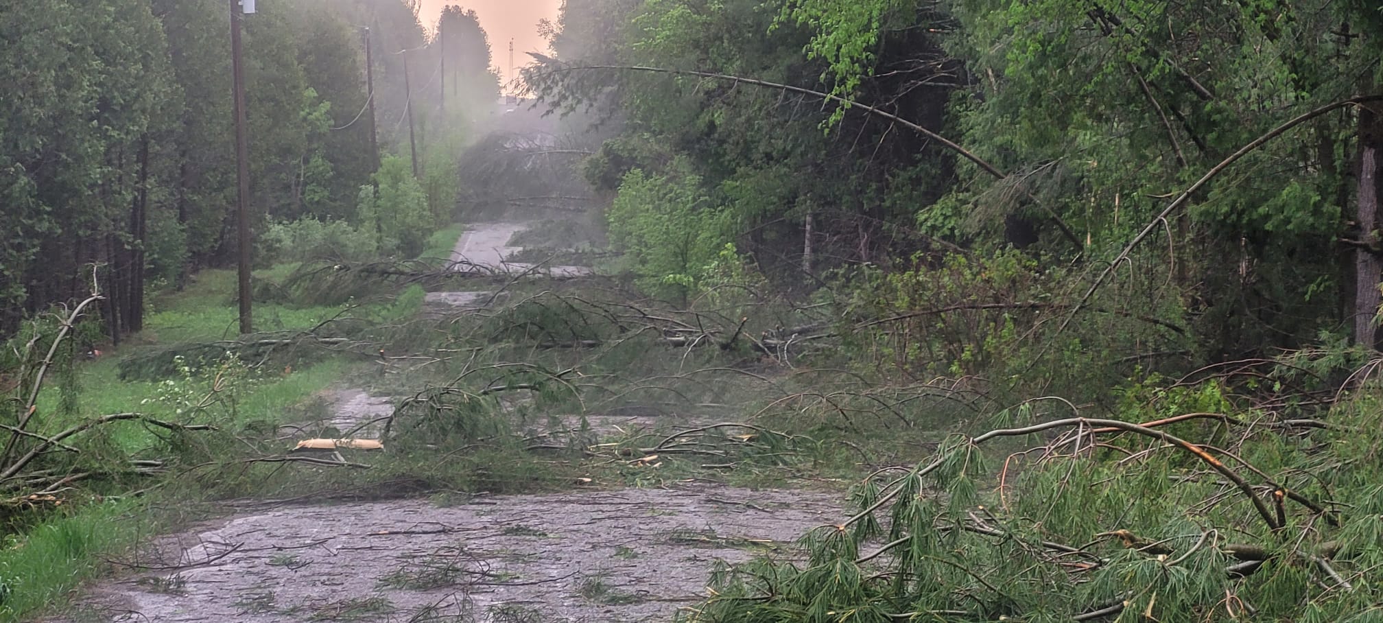 2022 Derecho Damage to 3rd Line Road N Dummer, image shows trees blown over across road